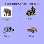 Comparing-Objects-Opposites-Page-Example.jpg