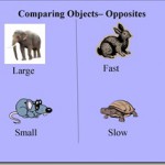 Comparing-Objects-Opposites-Page-Example_thumb.jpg