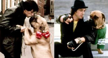 THIS Incredible REAL LIFE Story of Sylvester Stallone is MORE POWERFUL than Most Hollywood Movies!