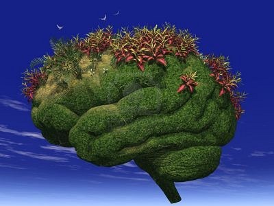 Your Brain is Like A Garden