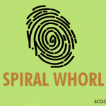 Spiral Whorl