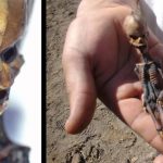 scientists-still-have-no-idea-what-is-with-the-atacama-alien-in-hand