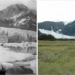 pedersen-glacier-alaska-summer-1917-summer-2005