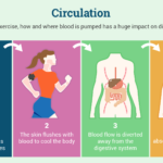 Running and – Circulation