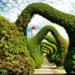 parque-francisco-alvarado-topiaries-zancera-costa-rica