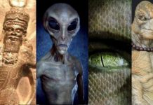 The 4 Most Hostile Aliens