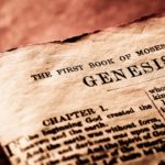 The Story Of Genesis