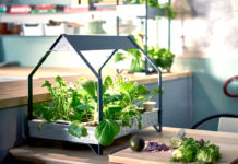 Grow Vegetables Without A Garden