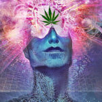 THIS Is What Happens In The 3rd Eye When We Smoke Cannabis… 1