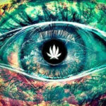 THIS Is What Happens In The 3rd Eye When We Smoke Cannabis… 3