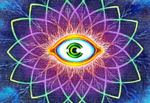 best 6 supplements to boost your Pineal Gland Capabilities