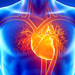 New Mindboggling Research Proves That Our Hearts Create Their Own Memories!