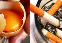 Research Eating 1 Egg Per Day Smoking 5 Cigarettes