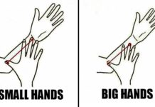 Size Of Your Arm Personality