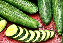 Consumed Cucumbers Every Single Day