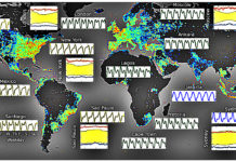 Research Found Social Media Synchronized Humanity Like A Heartbeat