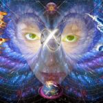 12 Types Of A Lightworker – The Unifiers