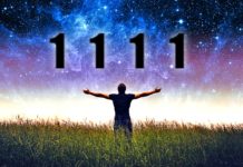 Most Important Signs Of Synchronicity