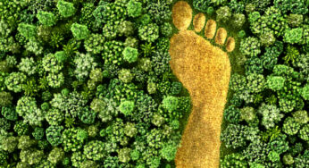 5 Ways How You Can Reduce Your Energy Footprint On The Planet and Save Money