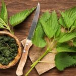 Rare Natural Soothing Teas Stinging Nettle