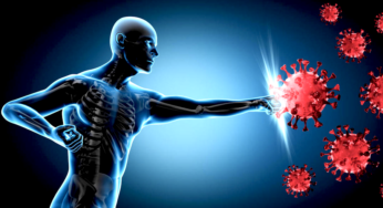 Top 8 Essential Habits for Keeping Your Immune System Strong and Healthy