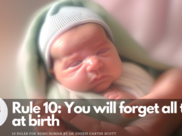 10-rules-for-being-human-rule-10
