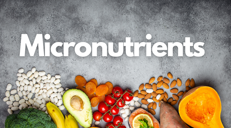 role-of-micronutrients-in-supporting-optimal-health