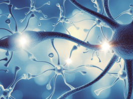 power-of-breath-calm-your-nervous-system
