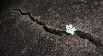 Power of Resilience: 4 Skills That Can Change Your Life