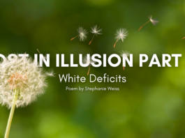 lost-in-illusion-part-2